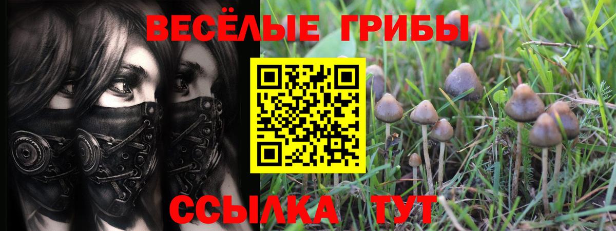 Псилоцибиновые грибы Magic Shrooms Гусь-Хрустальный