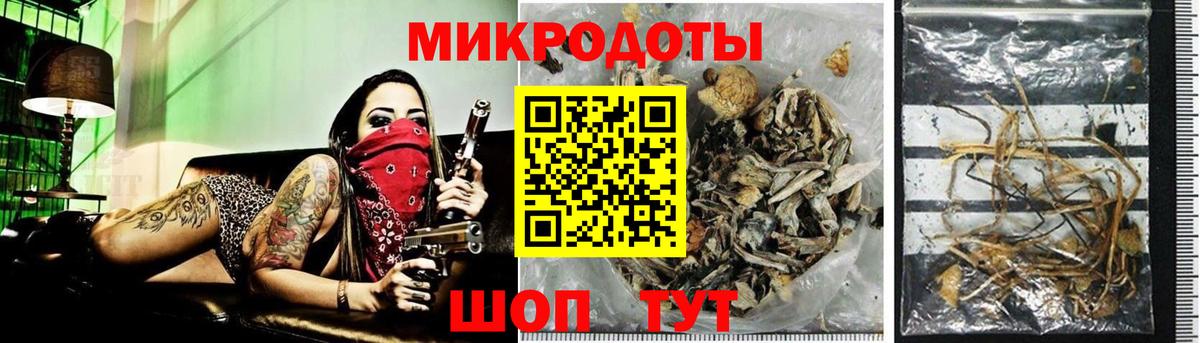 Псилоцибиновые грибы Cubensis  Вход с VPN  Гусь-Хрустальный  Псилоцибиновые грибы Magic Shrooms 